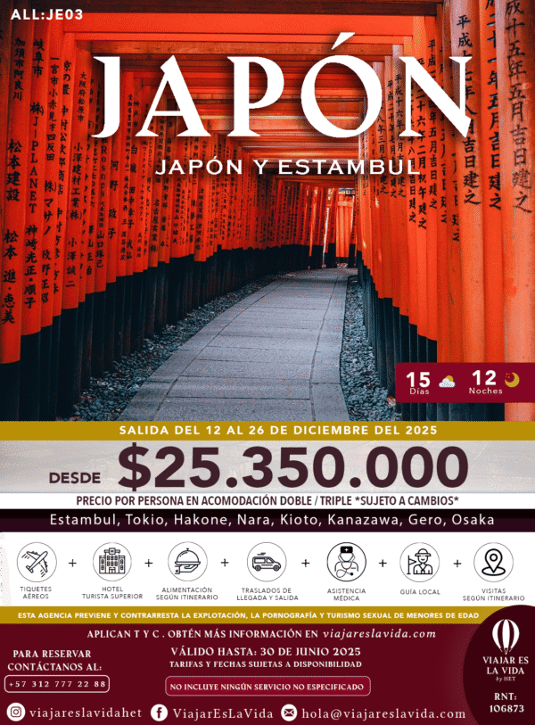 JAPÓN DICIEMBRE ALL:JE03