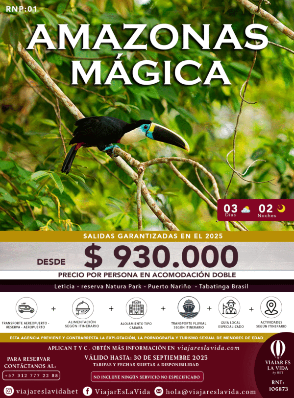 AMAZONAS MÁGICA RNP01