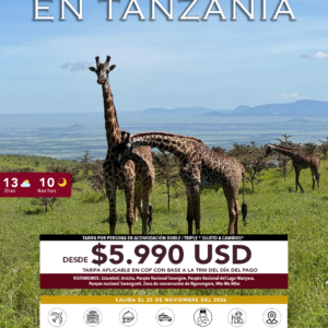 SAFARI EN TANZANIA VYV:34
