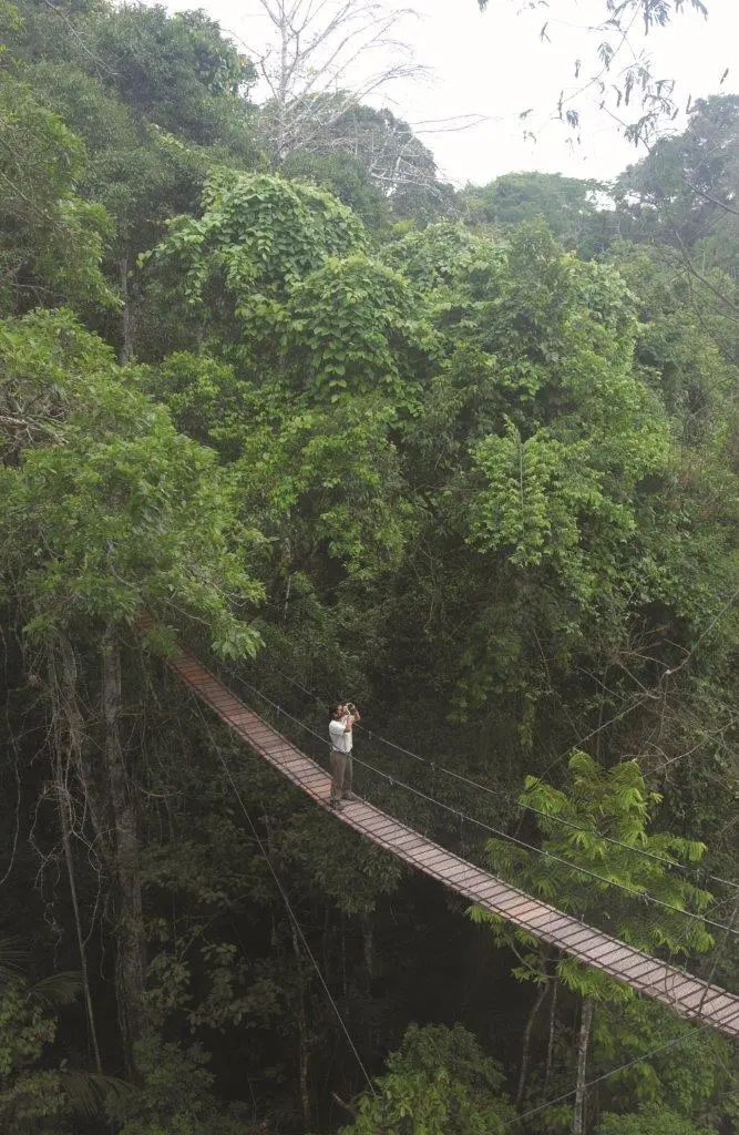 lodge-de-amazonas