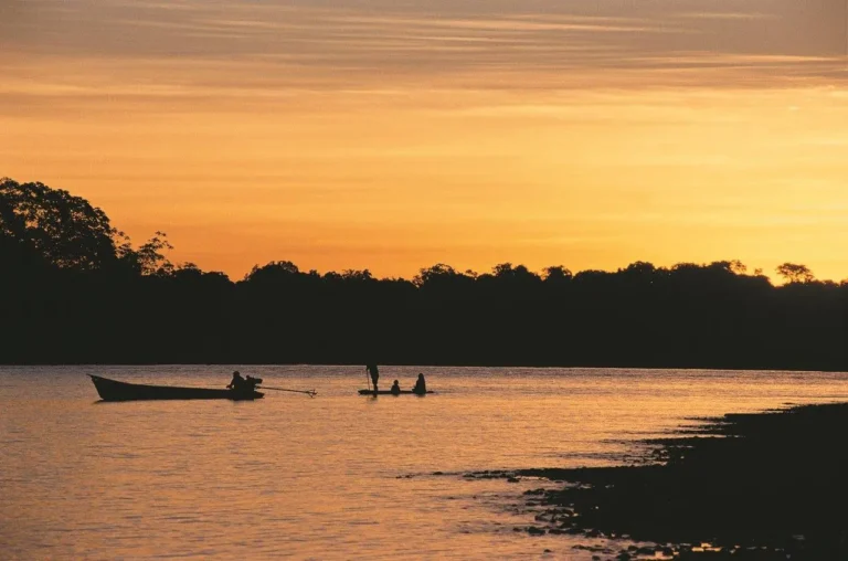 puerto maldonado la selva de peru
