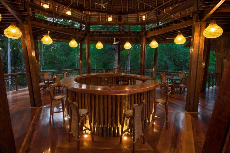 treehouse-lodge