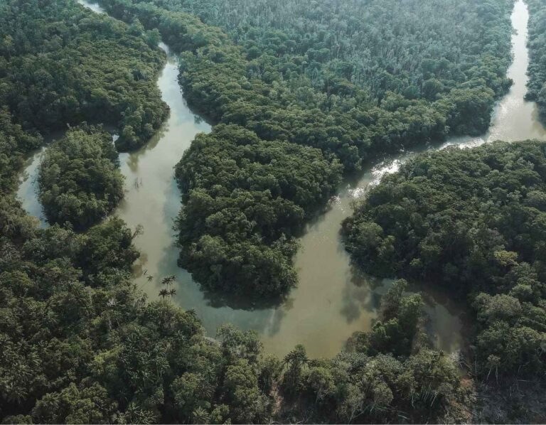 amazonas_viajar_es_la_vida