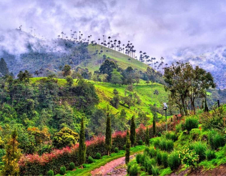 coffe_region_viajar_es_la_vida