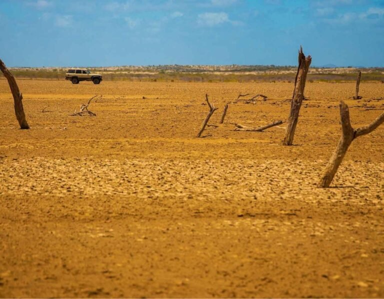 la_guajira_viajar_es_la_vida