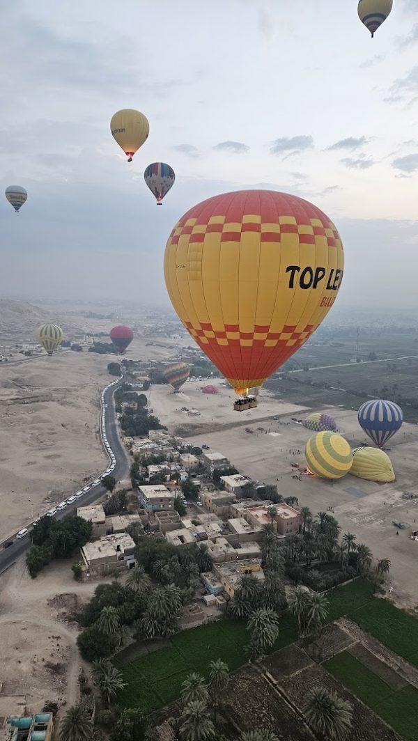 globo13