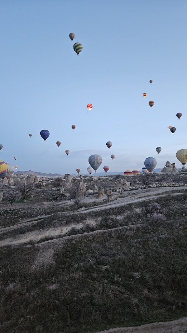 globo18